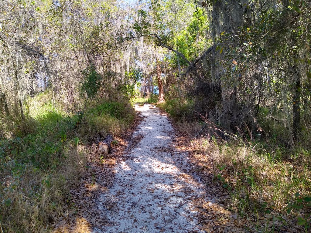 Walking in the FL woods